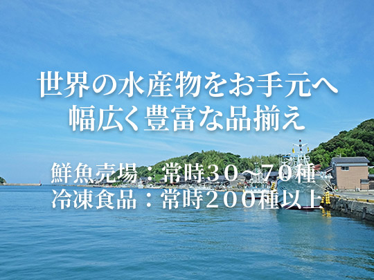 名古屋駅前柳橋中央市場マルナカ食品センターの生鮮・冷凍水産物卸業者「株式会社港やまき」